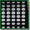 Активность зеркальных нейронов у человека при наблюдении и восприятии времени