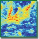 Усиление контраста кросс-поляризационных ОКТ-изображений рака молочной железы путем расчета оптических коэффициентов