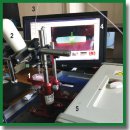 Laser Soldering of Cartilage Tissue to Collagenous Biomaterial (an <i>in vitro</i> Study)