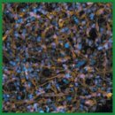 Исследование фенотипа астроцитов, дифференцированных из индуцированных плюрипотентных стволовых клеток от здорового индивида и от пациента с болезнью Паркинсона, с использованием метода просвечивающей электронной микроскопии