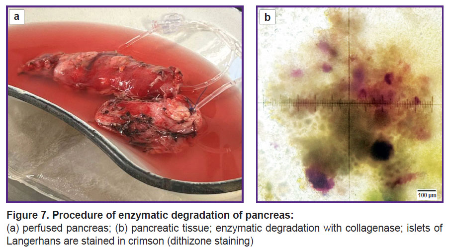 zagainov-fig-7.jpg