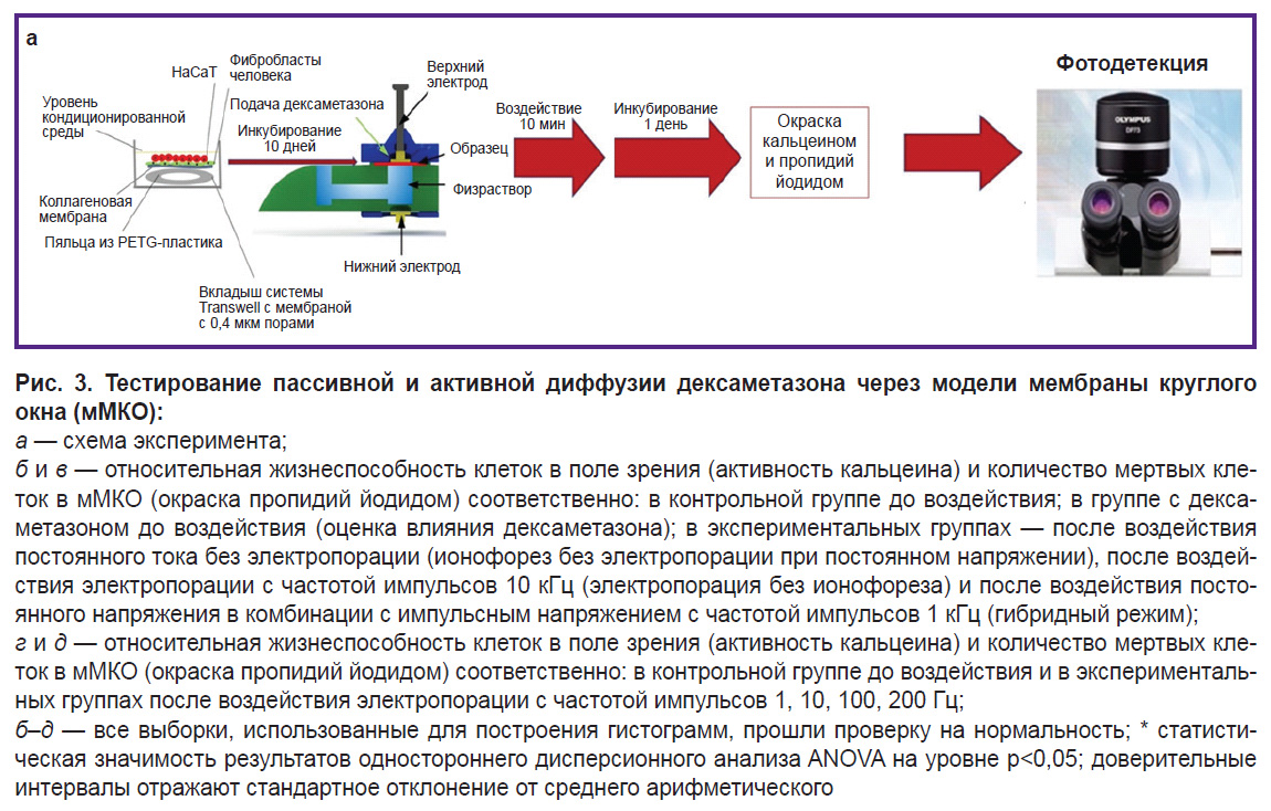 riabinin-ris-3-1.jpg